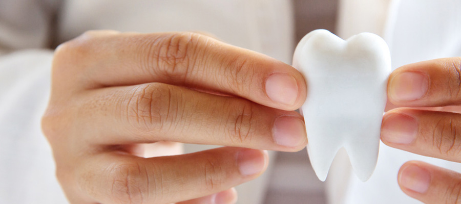 Odontología en gros. Empastes. Blanqueamiento dental